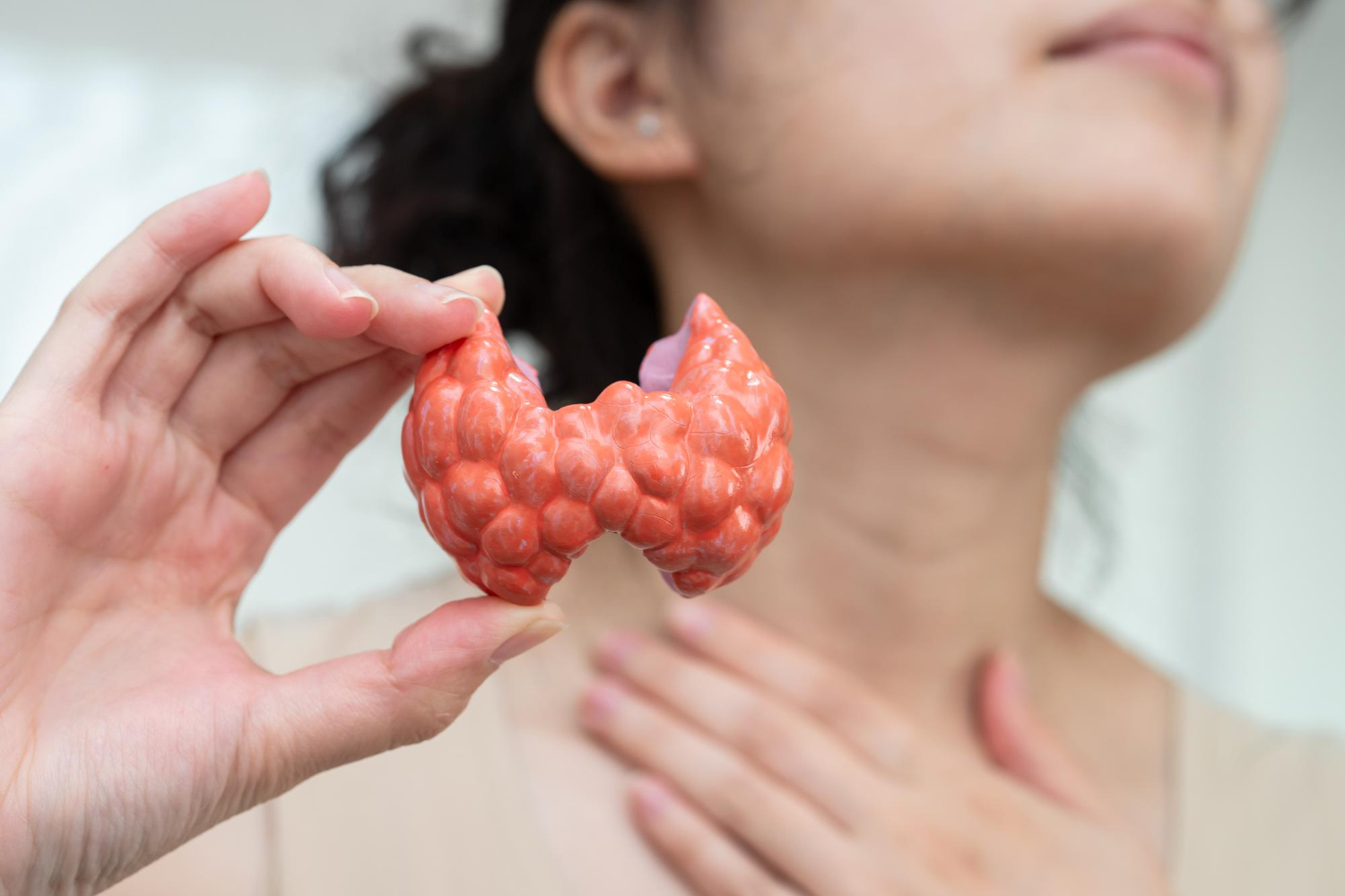 Read more about the article Thyroid Disorders